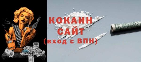 тгк Горняк