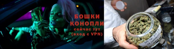 тгк Горняк