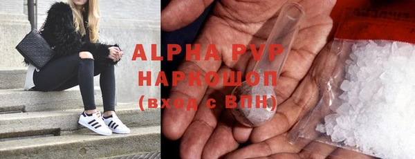 ГАЛЛЮЦИНОГЕННЫЕ ГРИБЫ Гусев